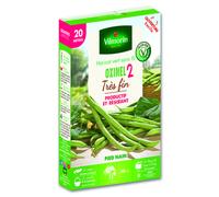 VILMORIN-Graines de haricot vert Oxinel 2 très fin Vilmorin - graines à semer
