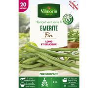 VILMORIN-Graines de Haricot vert sans fil Emerite fin Vilmorin - graines à semer