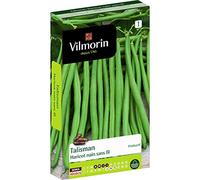 Vilmorin Haricot Talisman Boite 140g, Vert