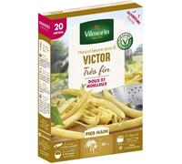 VILMORIN Graines de haricot victor - 20 M