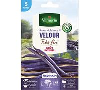 Vilmorin - Graines de Haricot violet sans fil VELOUR très fin - 5 mètres