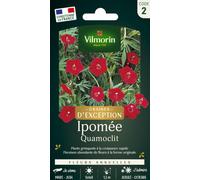 Vilmorin - Sachet graines Ipomée Quamoclit
