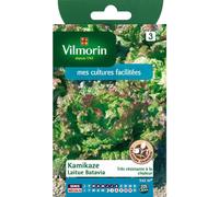 VILMORIN-Graines de laitue batavia kamikaz Vilmorin - graines à semer