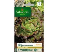 VILMORIN-Graines de Laitue Batavia rouge grenobloise Vilmorin - graines à semer