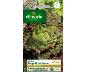 VILMORIN-Graines de Laitue Batavia rouge grenobloise Vilmorin - graines à semer