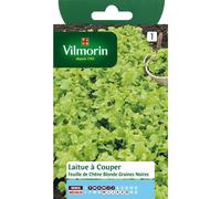 VILMORIN-Graines de laitue feuille de chêne blonde Vilmorin - graines à semer