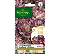 VILMORIN-Graines de laitue merveille des quatre saisons Vilmorin - graines à semer