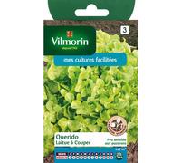 VILMORIN-Graines de laitue querido Vilmorin - graines à semer