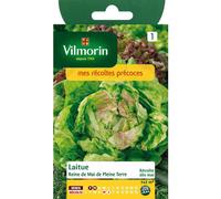 VILMORIN-Graines de laitue reine de mai pleine terre Vilmorin - graines à semer