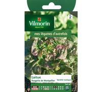 VILMORIN-Graines de laitue rougette de Montpellier Vilmorin - graines à semer