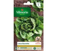 VILMORIN-Graines de laitue sucrette Vilmorin - graines à semer