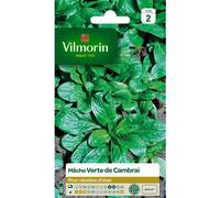 VILMORIN-Graines de mâche verte de Cambrai Vilmorin - graines à semer
