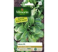 VILMORIN-Graines de mâche vit Vilmorin - graines à semer