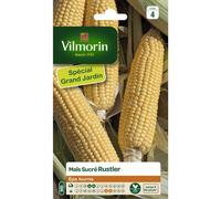 VILMORIN-Graines de maïs sucré Rustler Vilmorin - graines à semer
