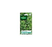 VILMORIN-Graines de Menthe marocaine Vilmorin - graines à semer