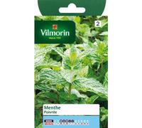 VILMORIN-Graines de menthe poivrée Vilmorin - graines à semer