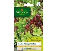 Vilmorin - Sachet graines Mesclun Mélange Crétois