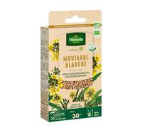 Vilmorin Engrais vert Moutarde blanche BIO Petit modèle