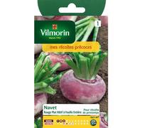 VILMORIN-Graines de navet rouge plat hâtif Vilmorin - graines à semer