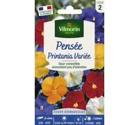 VILMORIN-Graines de Pensée Printania variée Vilmorin - graines à semer