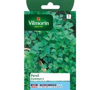 VILMORIN-Graines de persil commun Vilmorin - graines à semer