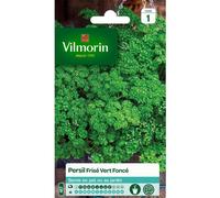 VILMORIN - Persil frisé Vert foncé - Aromatique incontournable- Culture en Pot ou Jardin - apports nutritifs intéressants -Culture Facile - rendement jusqu'à 2x2m