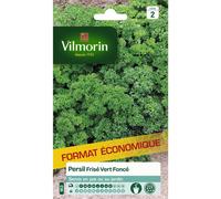VILMORIN-Graines de persil frisé vert foncé Vilmorin - graines à semer