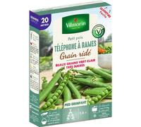 VILMORIN-Graines de petit pois téléphone à rames grain ridé Vilmorin - graines à semer