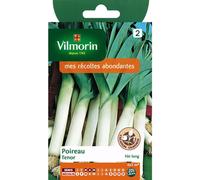 VILMORIN-Graines de poireau Tenor Vilmorin - graines à semer