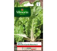 VILMORIN-Graines de poirée blonde à carde blanche 2 Vilmorin - graines à semer
