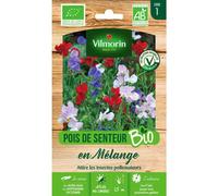 Vilmorin - Sachet graines Pois de senteur en mélange BIO - Lathyrus odoratus