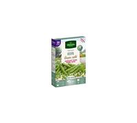 VILMORIN-Graines de Pois Kelvil grain ridé bio Ferme de Sainte Marthe - graines à semer 20 mètres