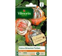 Graine Vilmorin 3489042 Pack De Graines Potiron Giraumon Turban