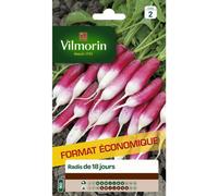 VILMORIN-Graines de radis de 18 jours Vilmorin - graines à semer