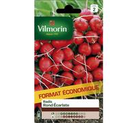 VILMORIN-Graines de radis écarlate Vilmorin - graines à semer