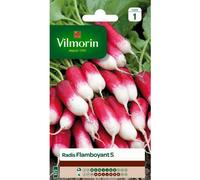 Vilmorin - Sachet graines Radis Flamboyant 5