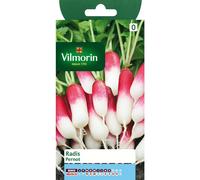 Vilmorin - Radis Pernot