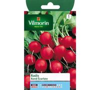 VILMORIN-Graines de radis rond écarlate Vilmorin - graines à semer