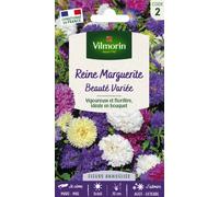 VILMORIN-Graines de Reine Marguerite Beauté variée Vilmorin - graines à semer