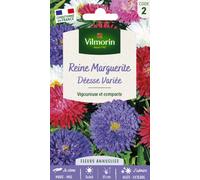 VILMORIN-Graines de Reine Marguerite Déesse Variée Vilmorin - graines à semer