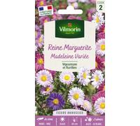 Vilmorin - Reine Marguerite Madeleine variée
