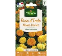 VILMORIN-Graines de Rose d’Inde naine variée Vilmorin - graines à semer