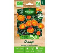 Vilmorin - Souci Bio Orange