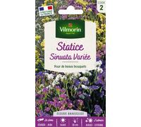 VILMORIN-Graines de Statice Sinuata variée Vilmorin - graines à semer