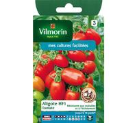 Vilmorin - Tomate Aligote HF1