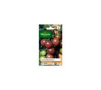 VILMORIN-Graines de Tomate black cherry Vilmorin - graines à semer