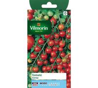VILMORIN-Graines de tomate cerise Vilmorin - graines à semer