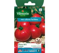 VILMORIN-Graines de tomate dona HF1 Vilmorin - graines à semer