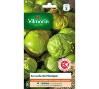 VILMORIN-Graines de tomatillo du Mexique Vilmorin - graines à semer