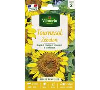 VILMORIN-Graines de Tournesol Zebulon Vilmorin - graines à semer